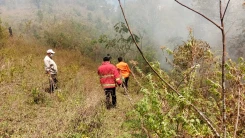 Perkembangan Situasi dan Penanganan Bencana 13 Juli 2025